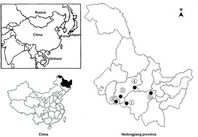 Molecular Identification and Phylogenetic Analysis of Nuclear rDNA Sequences of Clonorchis sinensis Isolates From Human Fecal Samples in Heilongjiang Province, China